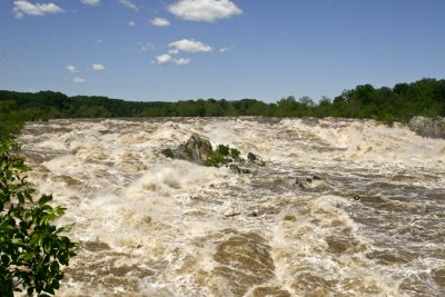 The Potomac River at 10 ft on 5/13/2008