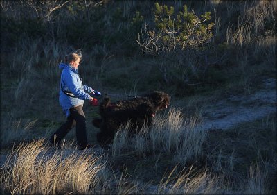 Iben and her Bouvier Des Flandres - Baffi and Emil