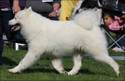 Penny at an international show in Sweden