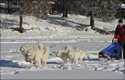 Team Takotna