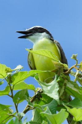 IMG_9896.JPG