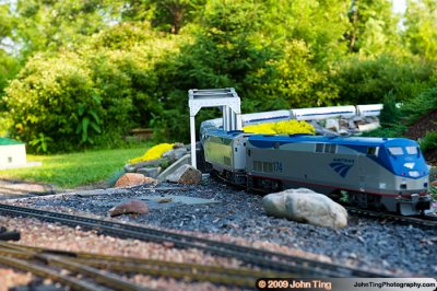 DSC_0010.jpg