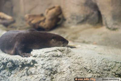 DSC_0654.jpg