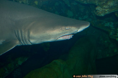 DSC_0692.jpg
