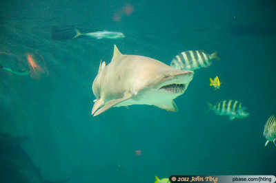 g1/99/631999/3/146241045.GucPf9Gu.jpg