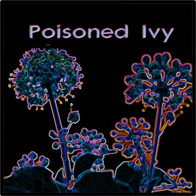 poisoned ivy.jpg