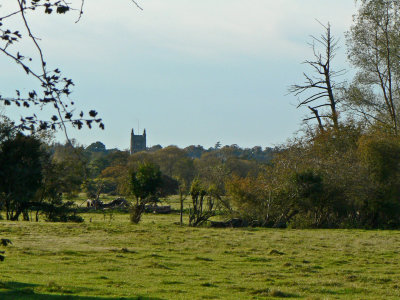 Towards Dedham