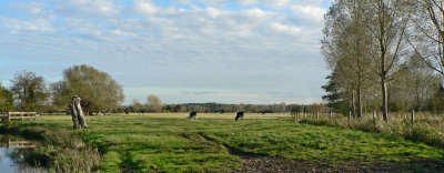 Landscape #3