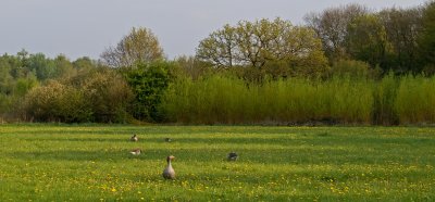 g1/99/657499/3/111566228.qRsEUiBw.jpg