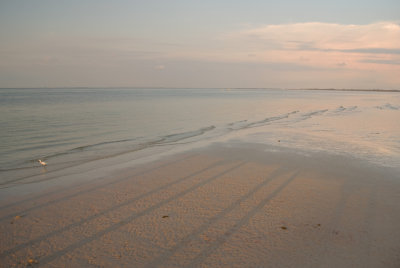 Long Shadows