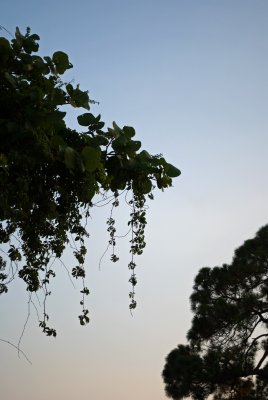 g1/99/657499/3/114030233.R1Ly2y0l.jpg