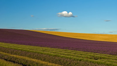 Commended: Landscape Photographer of the Year 2011, Rosie Herbert