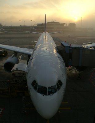 Fog in Frankfurt