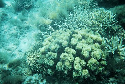 Humpy Island 010