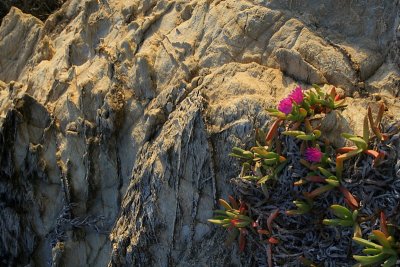 Humpy Island  2923