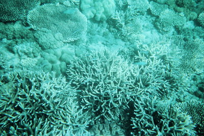 Humpy Island 0269