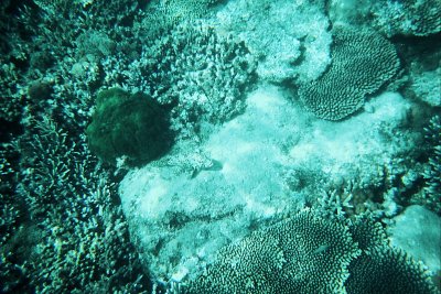 Humpy Island  006