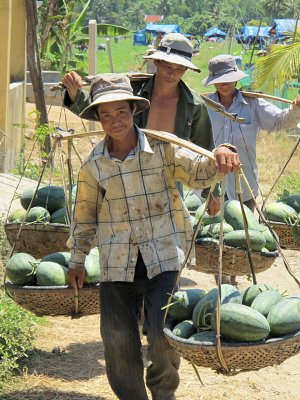 Viet_2743