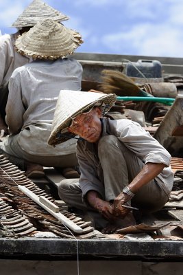 Viet_8513a