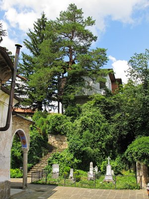 Sokolski Monastery 5290
