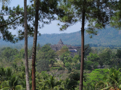 Borobudur 9113