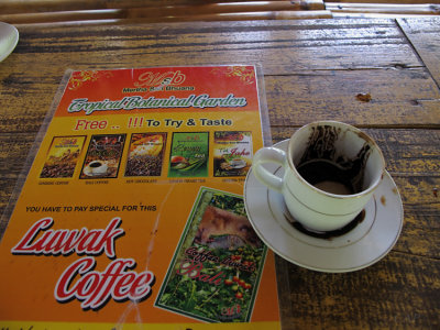 Luwak Coffee 9806