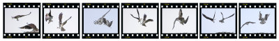 g1/99/7299/3/126096666.GylWnphP.jpg