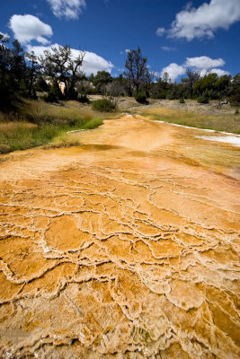 YellowStone19.jpg