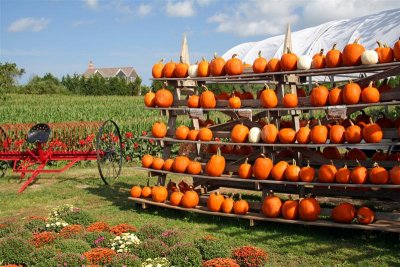 Fall Harvest 2010