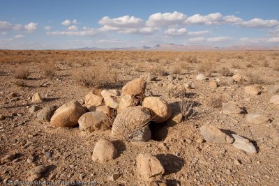 Bahram'gur fieldtrip