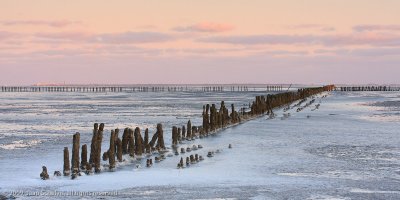 JS--20090105-0027.jpg