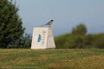JS--30092010-0061.jpg