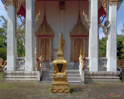 Wat Muang Mai Ubosot Entrance (DTHP084)