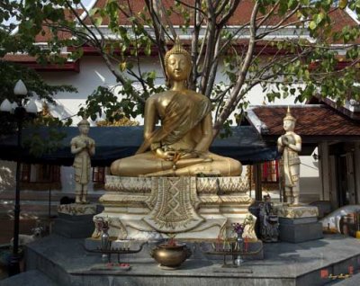 Wat Thong Thammachat Buddha under Bodhi Tree (DTHB515)