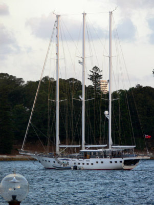 Farm Cove.jpg