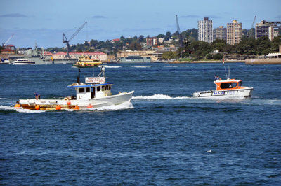 Working boats.jpg