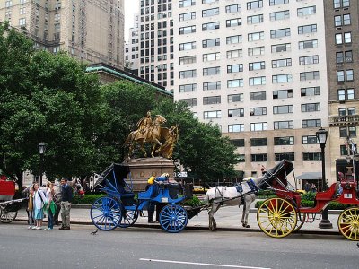 Carriage rides in New York.jpg