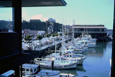 Fishermans Wharf boats and restuarants.jpg