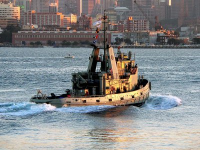 The Navy is back.jpg