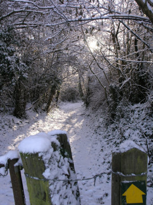 Crewkerne, Somerset