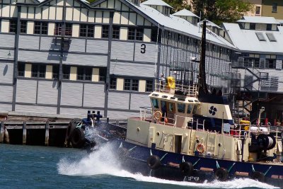 three tugs out.jpg
