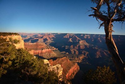 Early-morning-at-Grand-Canyon