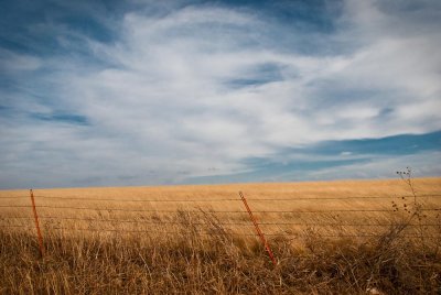 Oklahoma Field In Winter