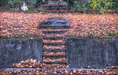 Steps, Leaves and a Turkey
