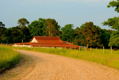 farm web.jpg
