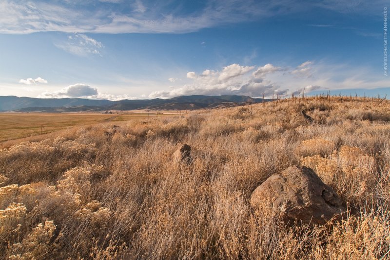 A Hillside near Gazelle