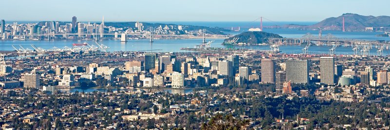 Winters Day in the Bay Area