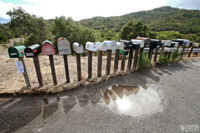 Mailboxes of Reeves Canyon Road