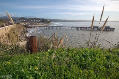 Capitola in February