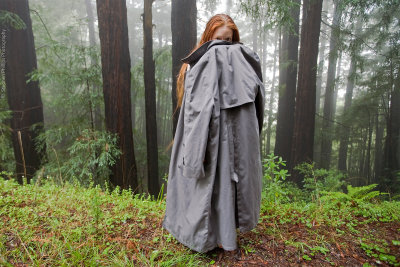 Coy Lass in a Foggy Forest
